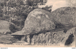 77 FORET DE FONTAINEBLEAU LA CASQUETTE DU JOCKEY - Fontainebleau