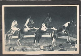 Cirque - La Pyramide à Quatre Chevaux Présentée Par Le Maître Ecuyer AL.Gruss - Zirkus