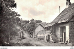 25 ENVIRONS DE ROUGEMONT CUBRY AU FOND LE CHATEAU DE BOURNEL CPSM - Autres & Non Classés