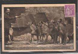 Cirque - Parc Zoologique Du Bois De Vincennes - Un Groupe De Lions Devant Leur Gardien - Zirkus