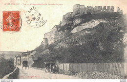 27 PETIT ANDELY VUE SUR CHATEAU GAILLARD A L'ENTREE DU PAYS - Autres & Non Classés