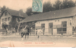 77 CHARMES HARAS DU CHATEAU DE CRENILLE - Other & Unclassified