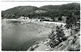 Lac Chambon - Vue Générale De La Plage - Other & Unclassified