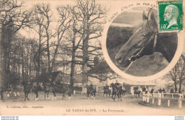 61 LE HARAS DU PIN LA PROMENADE EN MEDAILLON TIBERE ETALON PUR SANG ANGLAIS - Autres & Non Classés