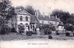 58 - Nievre - ALLUY - Le Vieux Chateau - Other & Unclassified