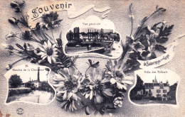 71 - Saone Et Loire - Souvenir De SALORNAYE Sur GUYE - Moulin De La Clochette - Villa Des Tilleuls -  - Autres & Non Classés