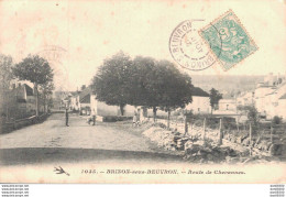 RARE  58 BRINON SOUS BEUVRON ROUTE DE CHEVANNES - Autres & Non Classés