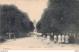 21 MIREBEAU SUR BEZE LES MARRONNIERS - Mirebeau