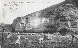 Autres & Non Classés. Sainte Honorine Sur Mer. La Récolte Des Coquillages Au Bord Des Falaises , Le Val. - Sonstige & Ohne Zuordnung