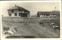 12397340 Hundwilerhoehe Berggasthaus Kuehe Aussichtspunkt Hundwiler Hoehi - Autres & Non Classés