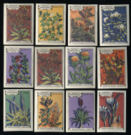 Meurisse - Ca 1930 - 62 - Plantes Tinctoriales, Dyeing Plants - Full Serie - Other & Unclassified