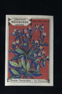 Meurisse - Ca 1930 - 62 - Plantes Tinctoriales, Dyeing Plants - 6 - La Garance - Other & Unclassified