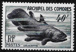 Comores 1954 - Yvert N° 13 - Micel N° 31 ** - Unused Stamps