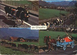 12377450 Gruyeres FR Kuehe Gruyeres - Other & Unclassified