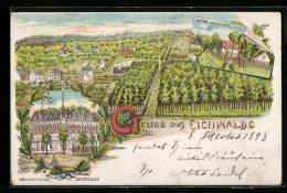 Lithographie Eichwalde, Gesamtansicht, Alter Gutshof, Waarenhaus Fr. Schelenz  - Eichwalde