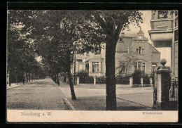 AK Nienburg A. W., Wilhelmstrasse Mit Villa Und Alleebäumen  - Nienburg