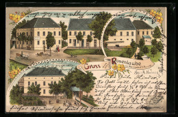 Lithographie Wernsdorf B. Penig, Gasthaus Rosenlaube, Garten M. Kegelbahn Und Strassenpartie  - Penig