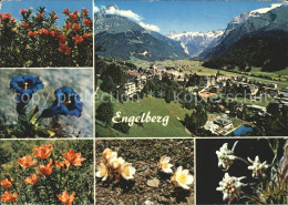 12371601 Engelberg OW Sommerkurort Winterkurort Enzian Edelweiss  Engelberg - Other & Unclassified