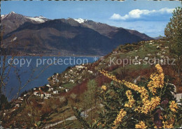 12371254 San Nazzaro Lago Maggiore San Nazzaro - Other & Unclassified