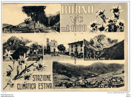 BORNO:  VEDUTE  -  STAZIONE  CLIMATICA  ESTIVA  -  FOTO  -  FG - Brescia