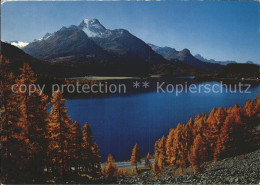 12369370 Silsersee Herbsttag Berge Silsersee - Altri & Non Classificati