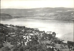 12366124 Luescherz Fliegeraufnahme Bielersee Luescherz - Sonstige & Ohne Zuordnung