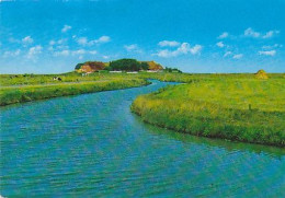 AK 215761 GERMANY - Hallig Hooge - Backenswarft Mit Priel - Halligen