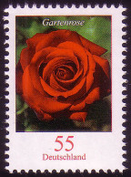 2669 Blume 55 C Gartenrose ** - Ungebraucht