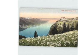 12359290 Caux VD Palace Hotel See Blumenwiese Caux - Andere & Zonder Classificatie