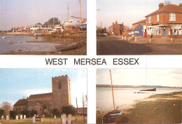 Navigation Sailing Vessels & Boats Themed Postcard West Mersea Essex - Sailing Vessels