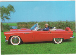 FORD THUNDERBIRD V8 (1956) - 'Classic Bird' - (USA) - Toerisme