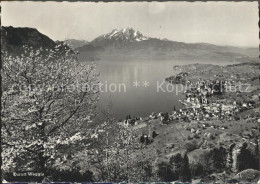 12351588 Weggis Vierwaldstaettersee Blick Gegen Buergenstock Und Pilatus Weggis - Sonstige & Ohne Zuordnung