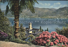 12351283 Brissago TI Lago Maggiore Brissago - Other & Unclassified