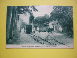 77. DONNEMARIE EN MONTOIS LA GARE DES TRAMWAYS - Other & Unclassified