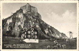 12344652 Seelisberg UR Alp Weid Mit Niederbauen Seelisberg UR - Autres & Non Classés