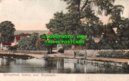 R546851 Springhead. Sutton Near Weymouth. H. Cumming. 1909 - World