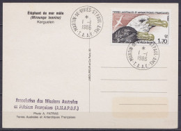 TAAF – St-Paul & Amsterdam - N° 116 Oiseaux Pétrels Géants - Oblit. 1e Jour Martin-de-Viviès 1-1-1986 / CP Eléphants De  - Lettres & Documents