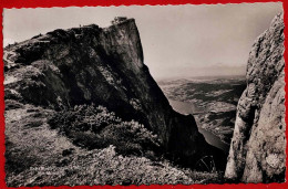 Schafberg-Spitze 1780 M Mit Mondsee. 1954 - Autres & Non Classés