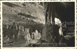 12339152 Boncourt JU Grottes De Milandre Boncourt - Andere & Zonder Classificatie
