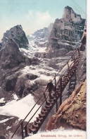 GRINDELWALD               BAREGG. DIE LEITERN   Colorisée - Grindelwald