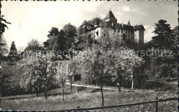 12339120 Blonay Chateau Blonay - Sonstige & Ohne Zuordnung