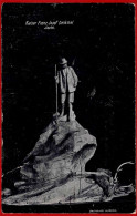 Kaiser Franz Josef Denkmal Ischl. - Bad Ischl