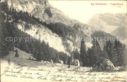 12338078 Unterwasser Toggenburg Alp Kuehlboden  Unterwasser - Sonstige & Ohne Zuordnung