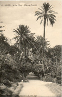 ALGERIE - ALGER - 16 - Jardin D'Essai Allée Des Palmiers - Collection Régence A. L. édit. Alger (Leroux) - Alger