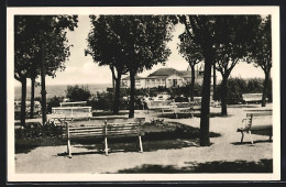 AK Ahlbeck, Partie An Der Strandpromenade  - Autres & Non Classés