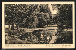 AK Liebenberg I. D. Mark, Kastanien-Teich Im Schloss-Park  - Other & Unclassified