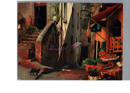 CAGNES SUR MER 06 - Une Vieille Rue Maison Marchand De Fruit Et Legumes Un Chat Noir Cat Katze - Cagnes-sur-Mer