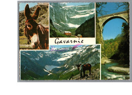 GAVARNIE 65 - Le Cirque De Gavarnie Le Pont Napoleon Un Joli Ane 1973 - Gavarnie