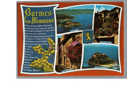 BORMES LES MIMOSAS 83 - Le Cap Benat Vieux Puits Fleuri Le Fort De Bresançon Histoire De La Ville - Bormes-les-Mimosas