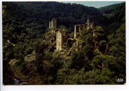 CPSM  10.5 X 15  Corréze  Les Ruines De MERLE Citadelles Des XII° Et XIV° S. Sur Les Bords De La Maronne* - Other & Unclassified